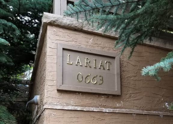 2-663 Sawatch Dr. - Lariat D3 - Image 3